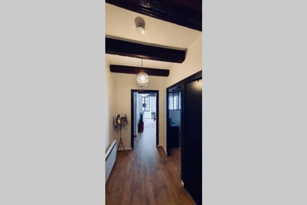 Le Carnot 2 Etoiles Hypercentre Vieille Ville Annecy Dış mekan fotoğraf
