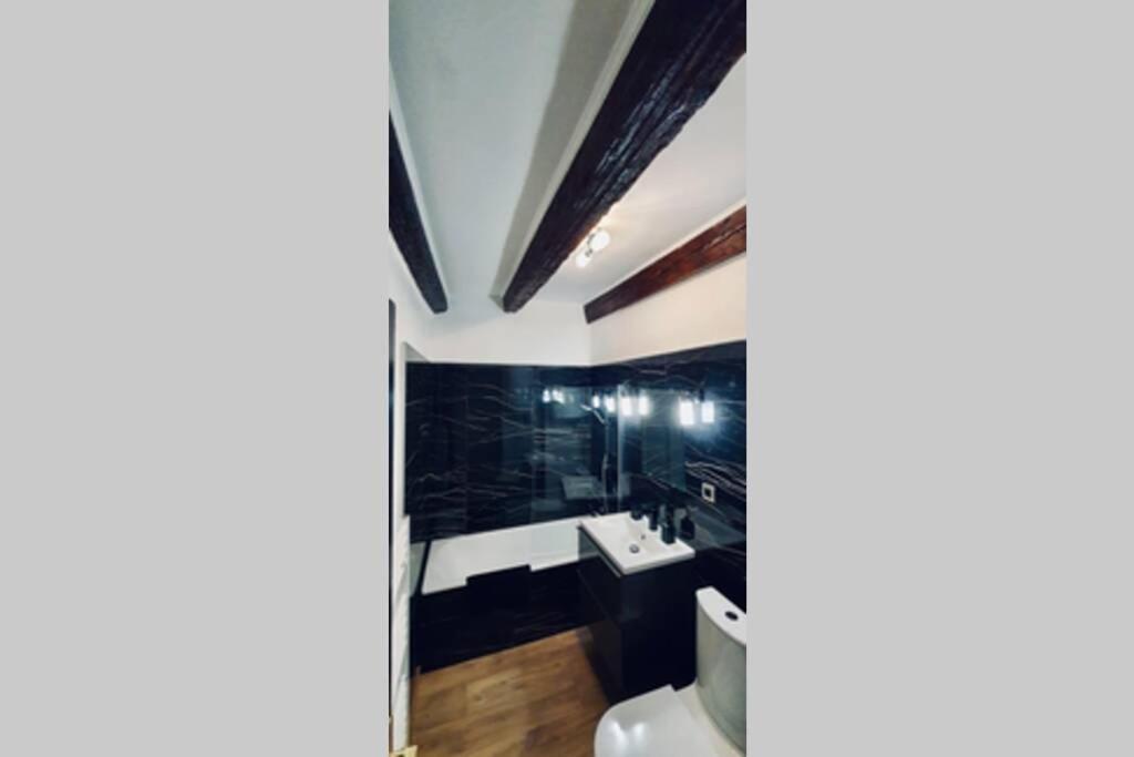 Le Carnot 2 Etoiles Hypercentre Vieille Ville Annecy Dış mekan fotoğraf